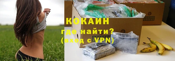дживик Алзамай