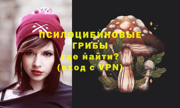 дживик Алзамай