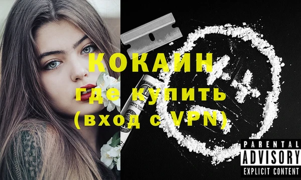 дживик Алзамай