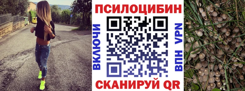 Псилоцибиновые грибы Psilocybine cubensis  площадка формула  Миньяр  магазин   